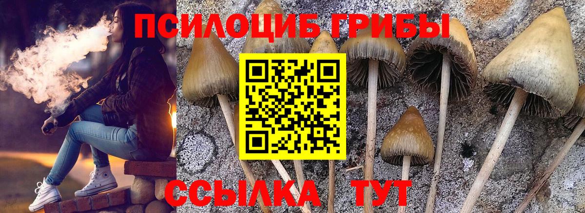 Галлюциногенные грибы Magic Shrooms  Вход с VPN  купить   Горно-Алтайск  Галлюциногенные грибы Cubensis 